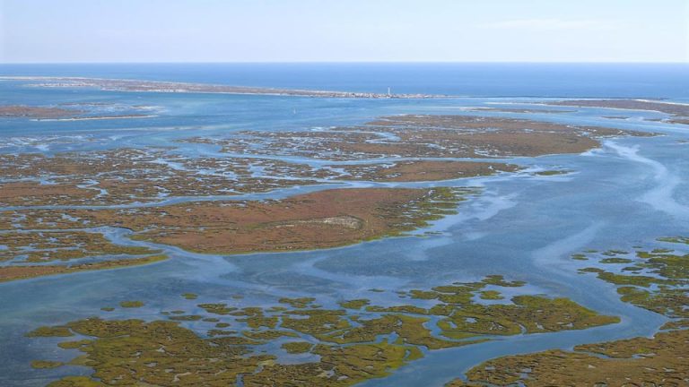 Tour ALGARVE Sotavento • RIA FORMOSA • MÉRTOLA