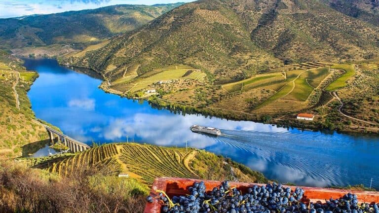 46A.MGT.Douro+Minh.6d